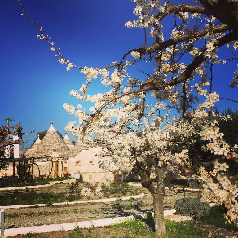 Trulli Di Pozzomasiello Casa rural